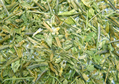 Augentrostkraut