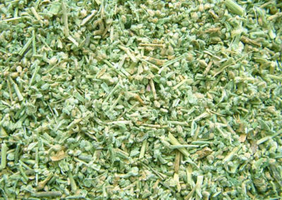 Bruchkraut