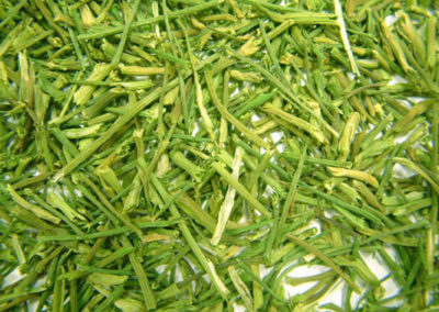 Dillkraut