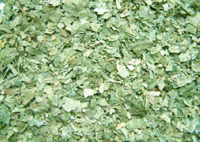 Erdbeerblatt