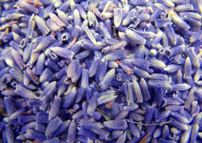 Lavendelblueten