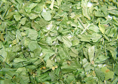 Waldmeisterkraut